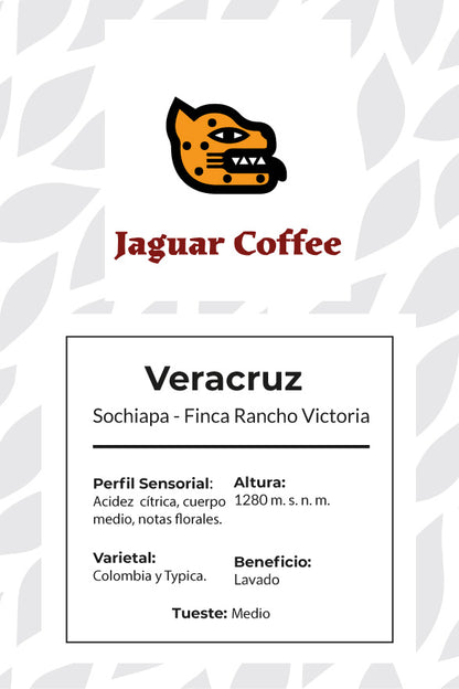 Mexican Coffee of Veracruz